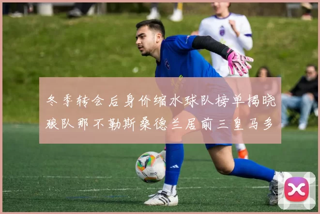冬季转会后身价缩水球队榜单揭晓狼队那不勒斯桑德兰居前三皇马多特也在其中